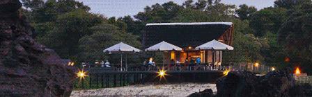 纳米比亚野外生存,纳米比亚沙漠寻食荒野求生