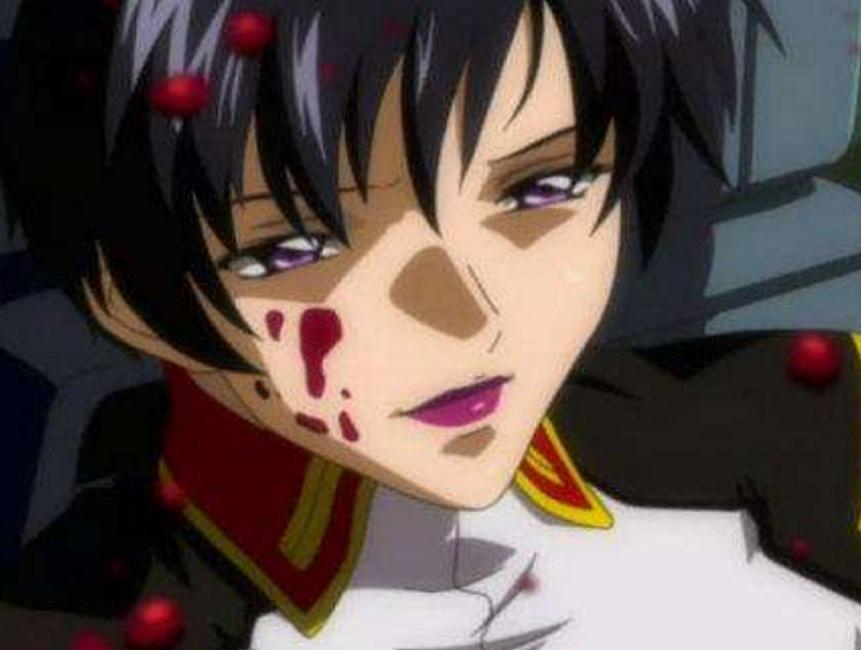 seed三大便当女神,机动战士高达seed便当三姐妹