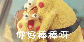 贵阳机场巴士1号线,贵阳机场巴士购票