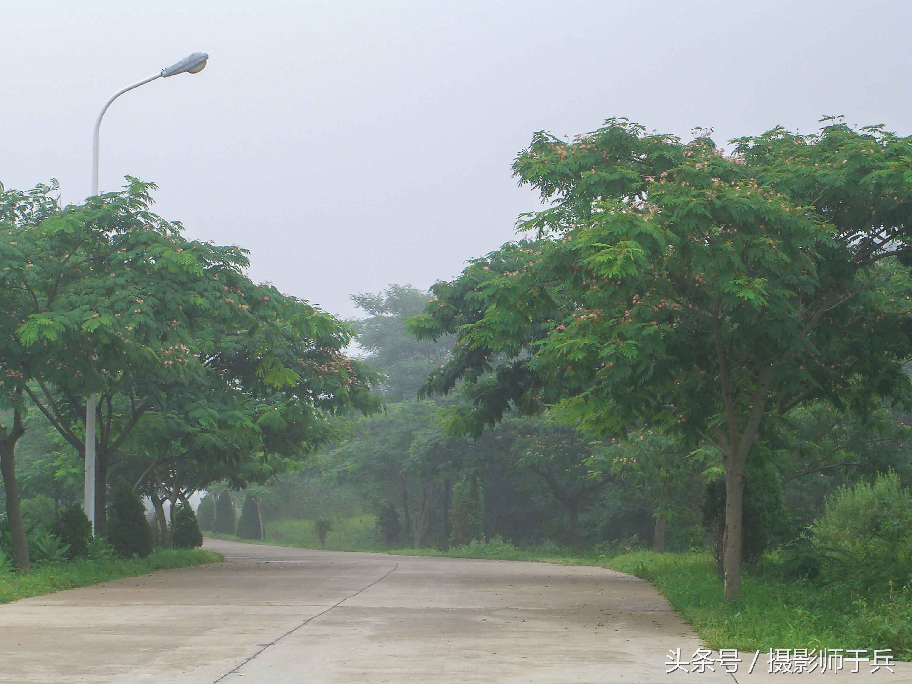 世外桃源乌鱼,大连长海县瓜皮岛