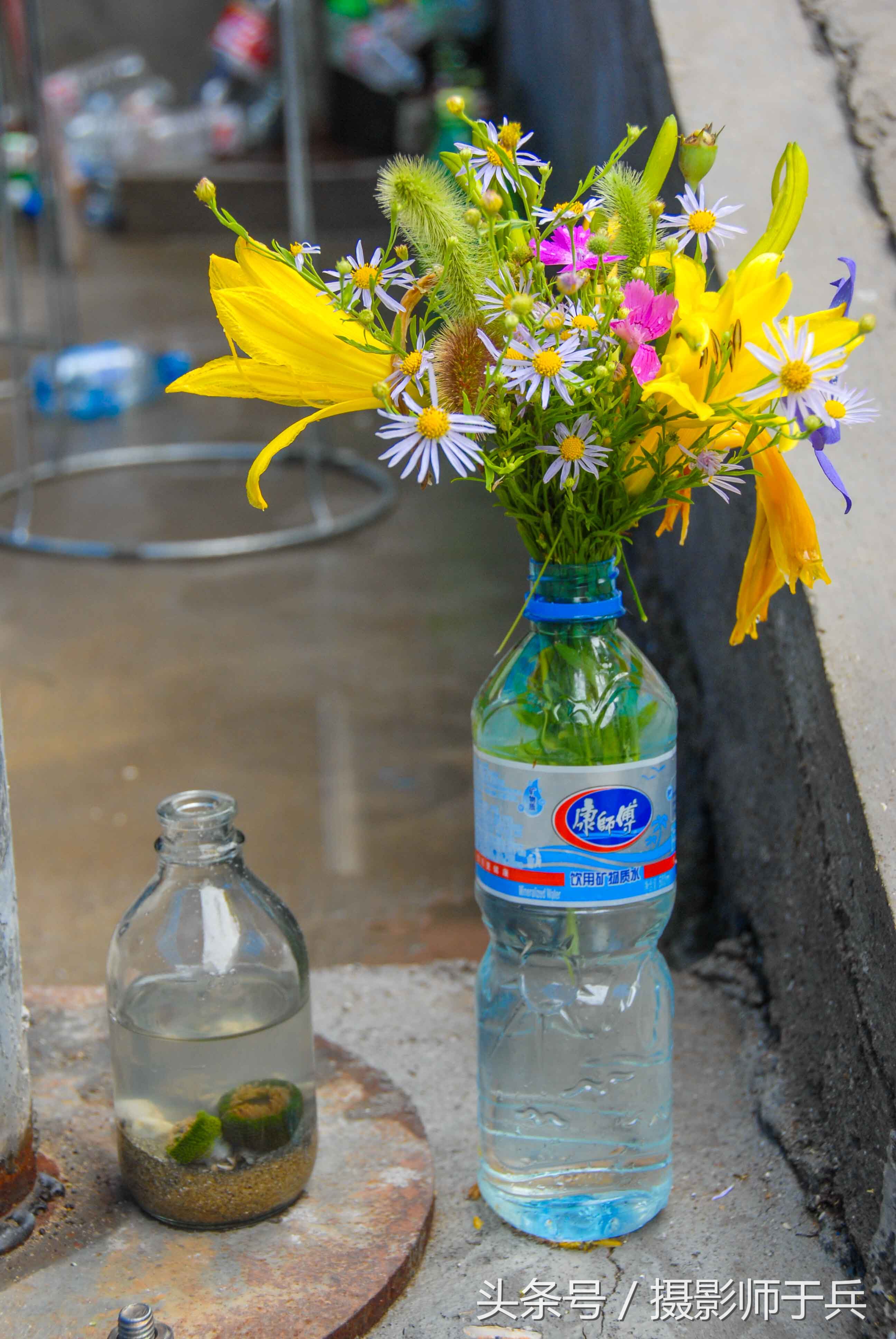 世外桃源乌鱼,大连长海县瓜皮岛