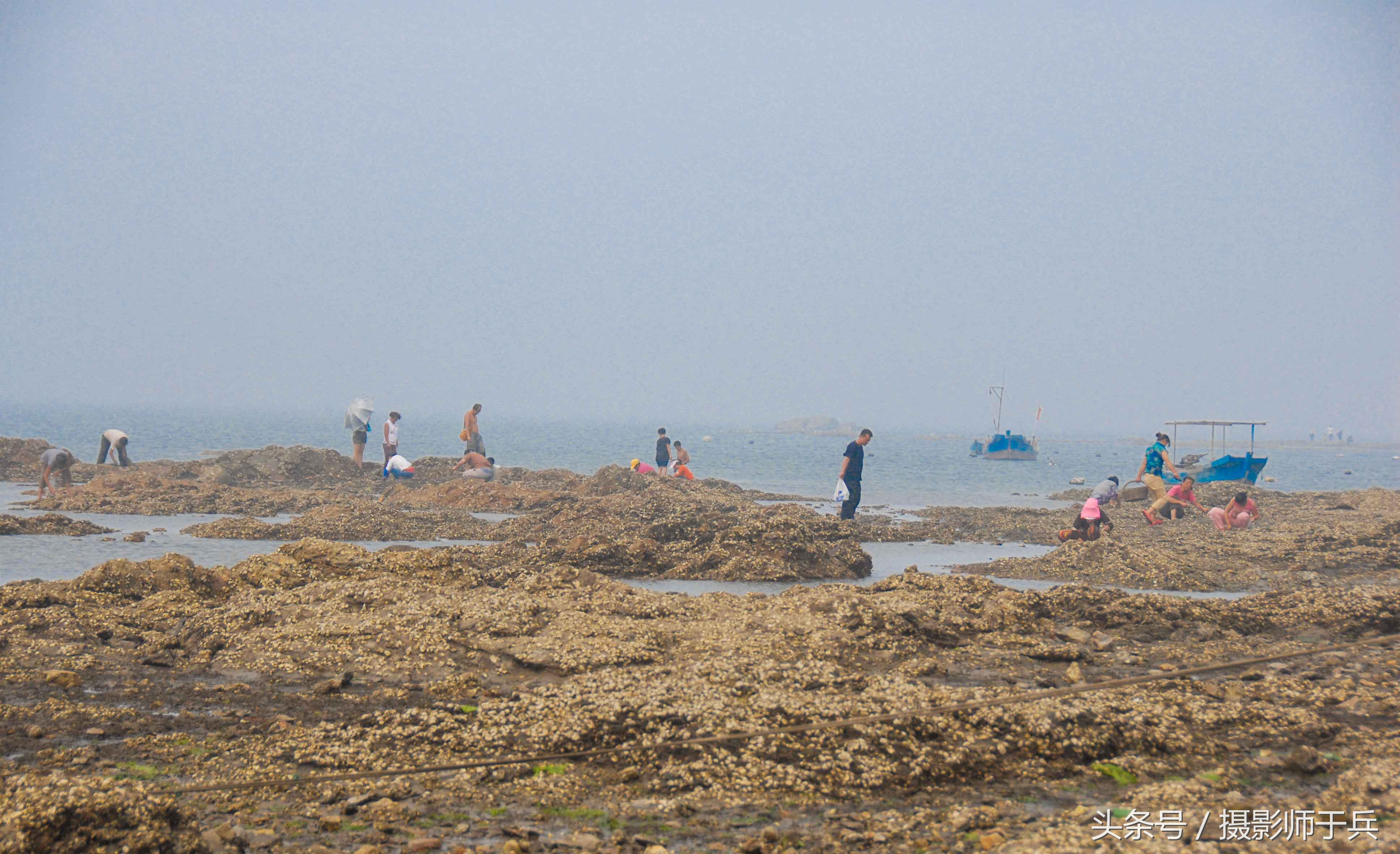 世外桃源乌鱼,大连长海县瓜皮岛