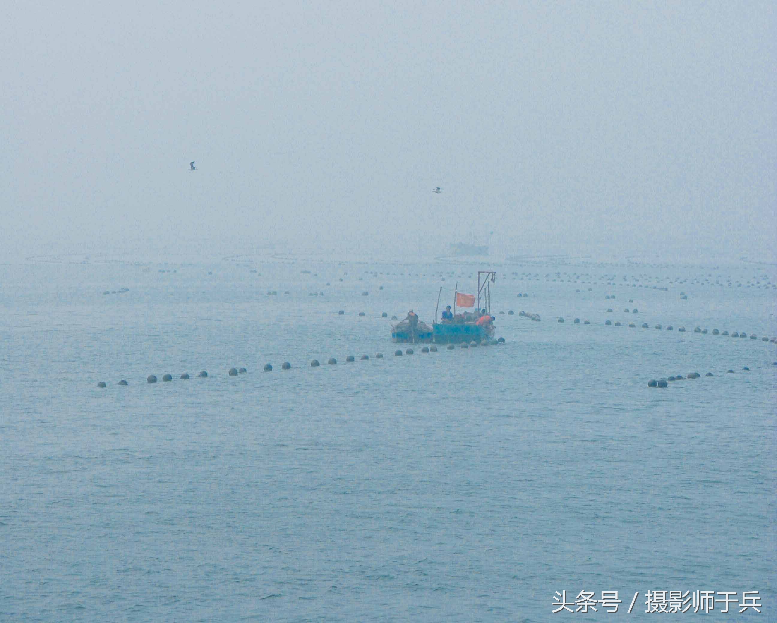 世外桃源乌鱼,大连长海县瓜皮岛