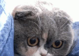 全部断货的产品,好多产品已断货