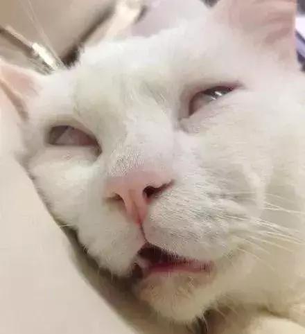 全部断货的产品,好多产品已断货