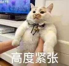 全部断货的产品,好多产品已断货