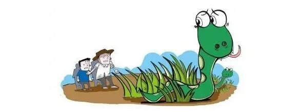 遇到毒蛇怎么办？专业知识还是需要的！