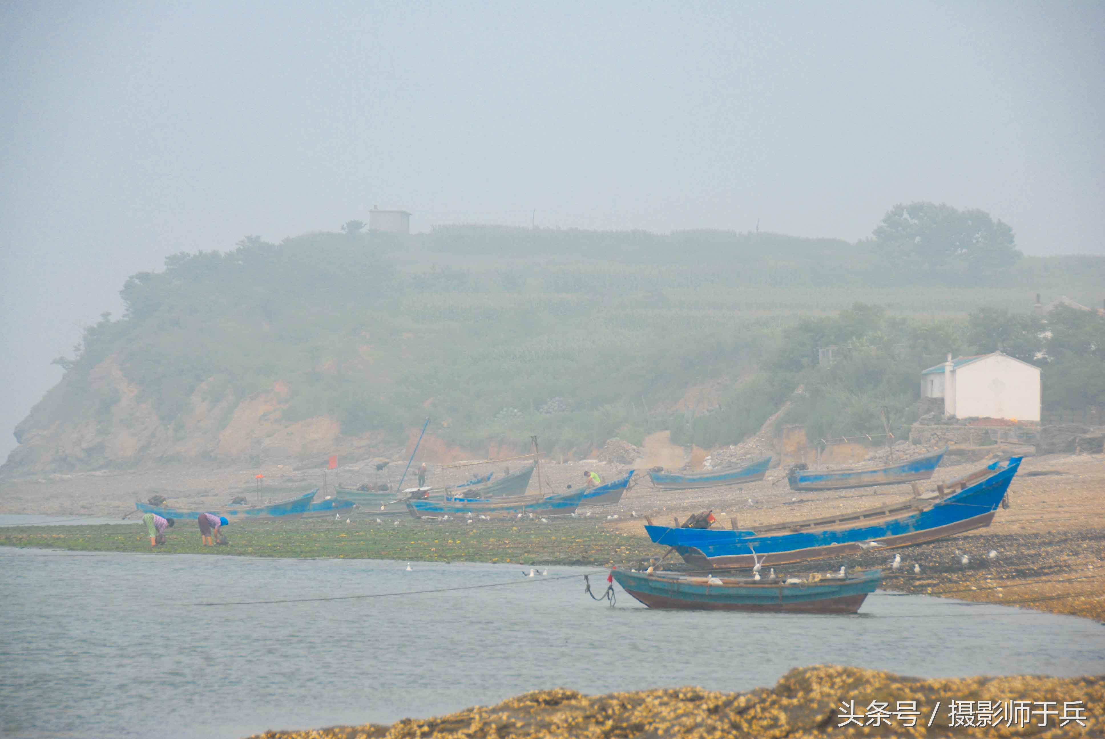 世外桃源乌鱼,大连长海县瓜皮岛