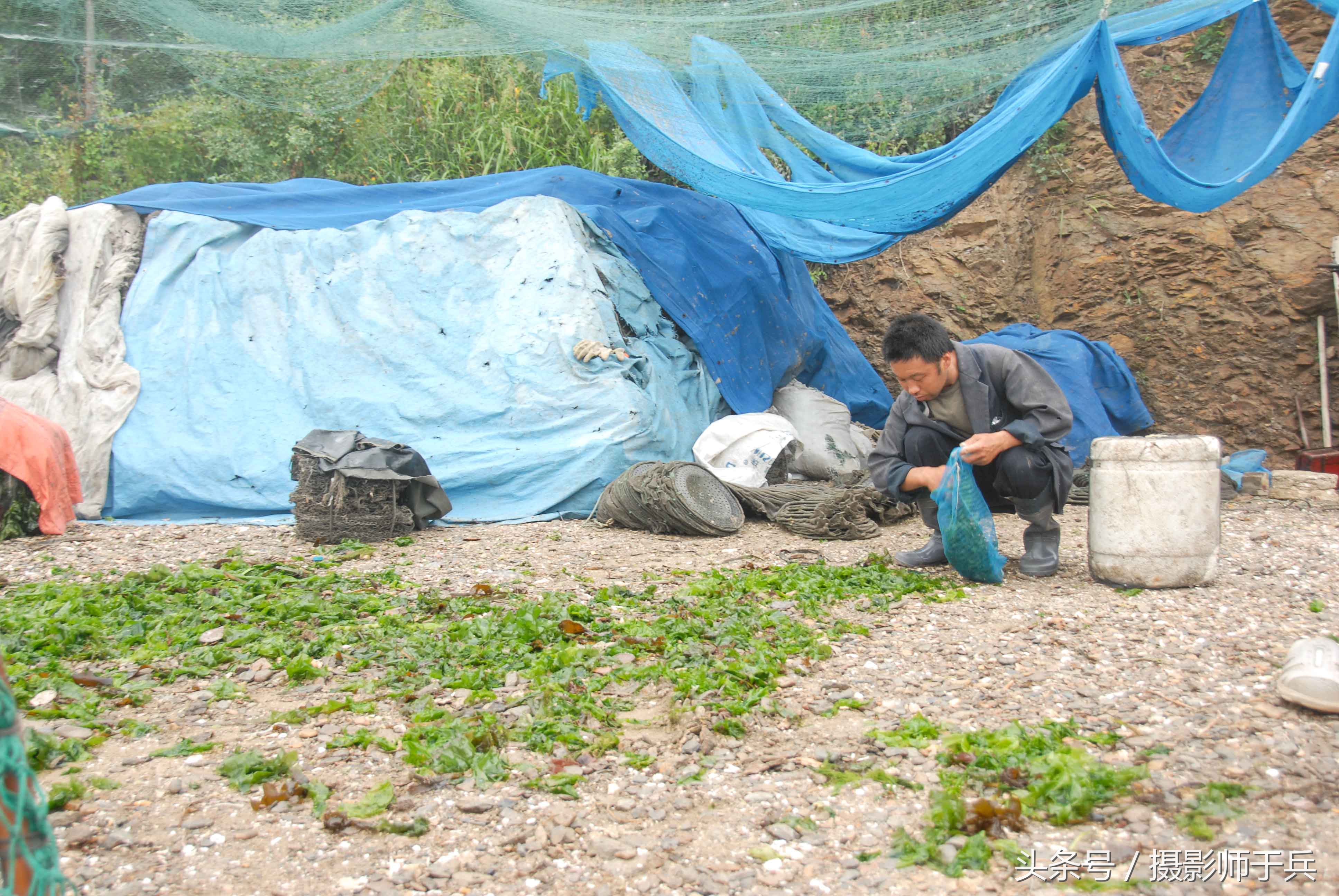 世外桃源乌鱼,大连长海县瓜皮岛