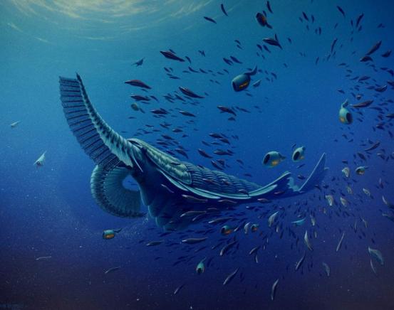 地球演化史地质年代表什么,地球发展史的五个地质年代