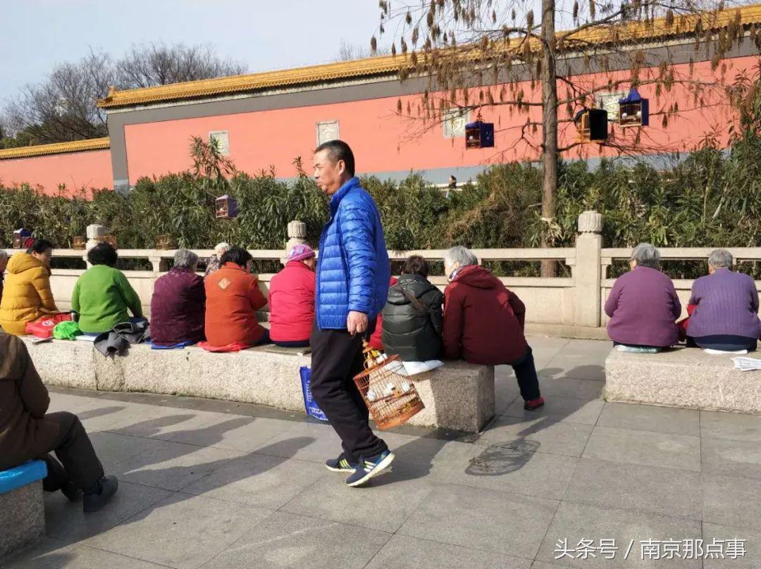 涓浗娉涙互鎴愮伨鐨勯噹鐢熷姩鐗╄鍚冨厜,鍦ㄤ腑鍥借鍚冩帀鐨勬硾婊ユ垚鐏剧殑鍔ㄧ墿