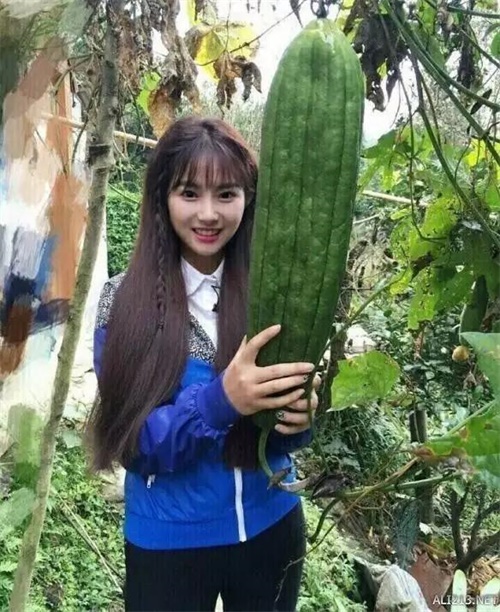 用手机有没有赚钱方法,用手机真实的赚钱