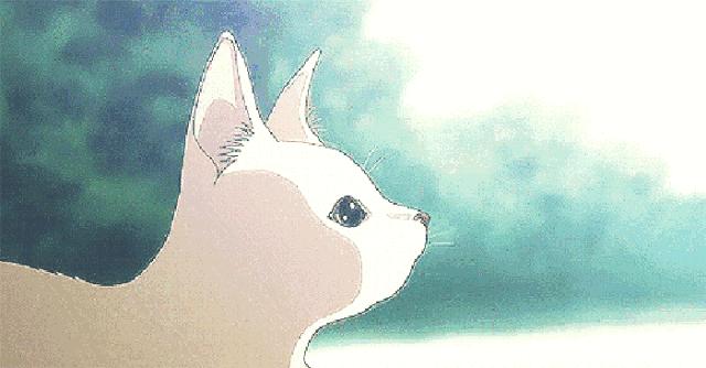 叶酸如何补才靠谱,老年人怎样补叶酸