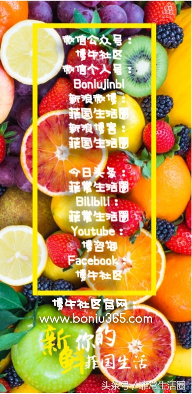 菲律宾lazada订单处理和发货流程,lazada菲律宾适合新手的类目