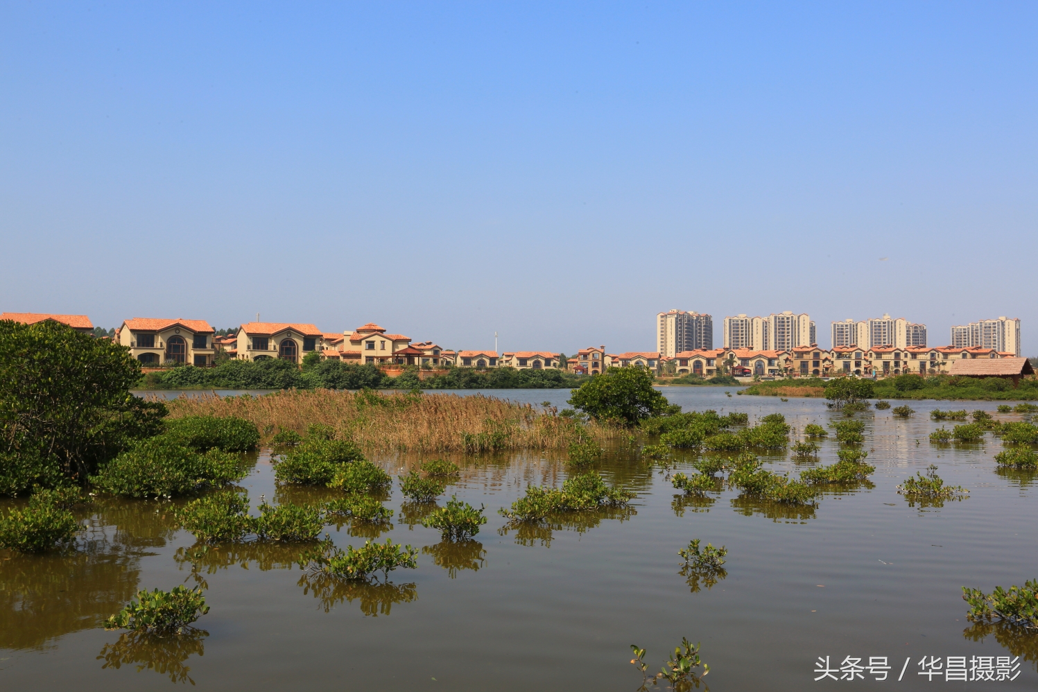 澄迈富硒最多的地方在哪里,澄迈县具体的富硒区