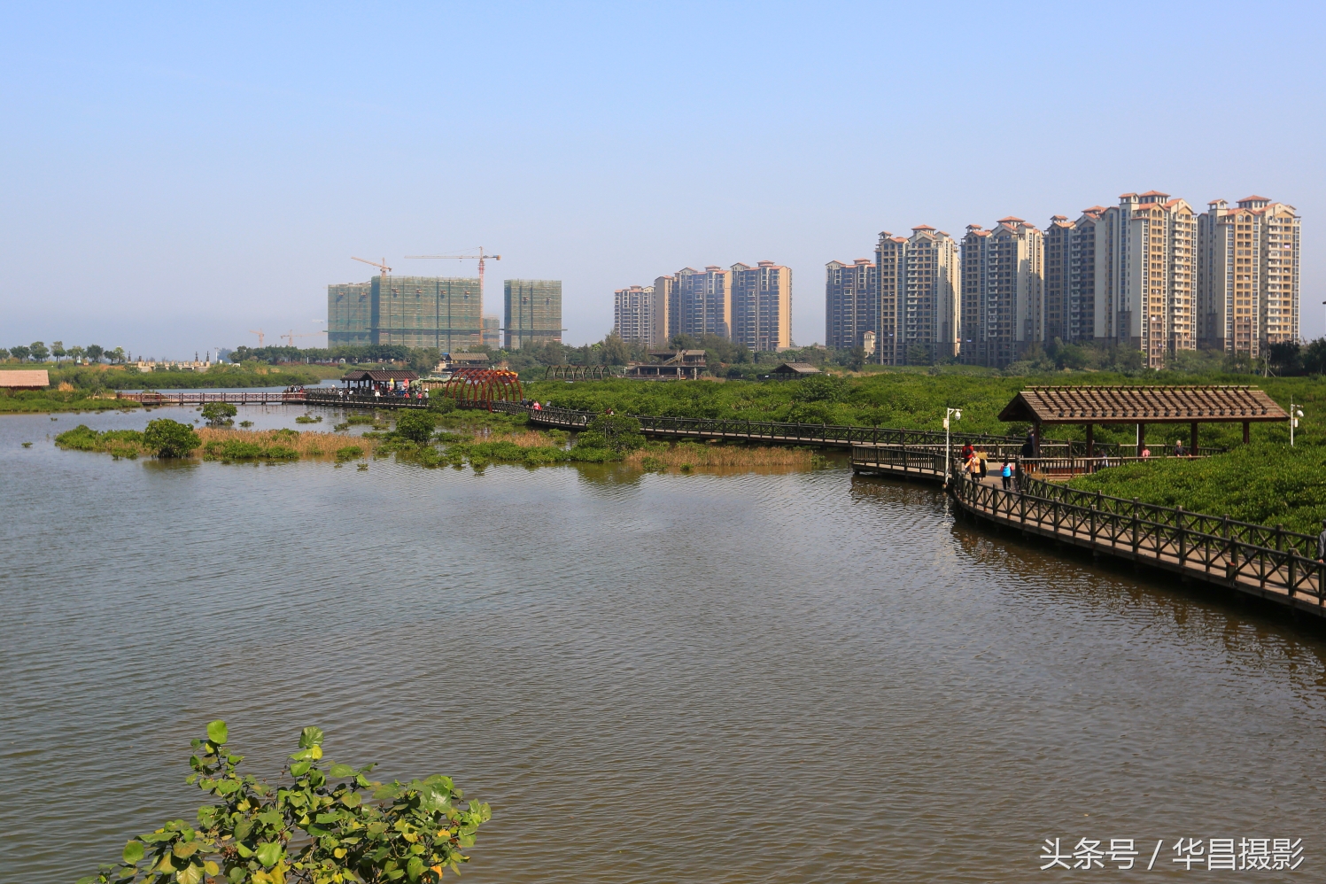 澄迈富硒最多的地方在哪里,澄迈县具体的富硒区