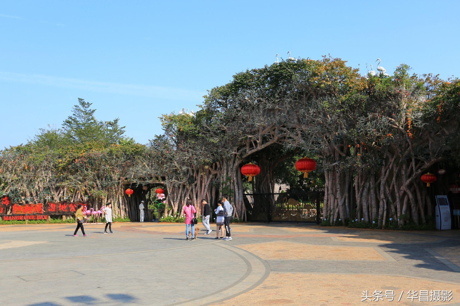 澄迈富硒最多的地方在哪里,澄迈县具体的富硒区