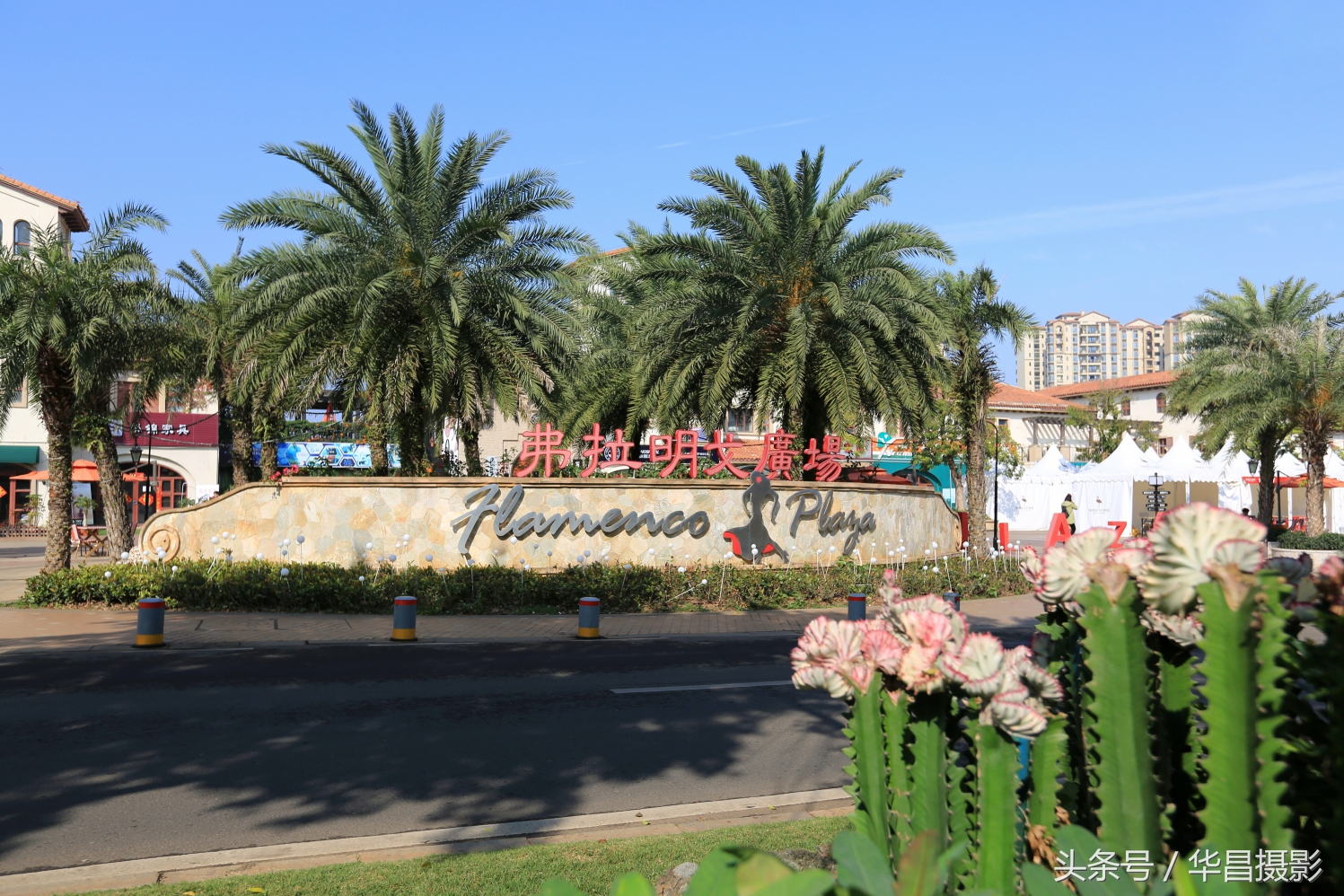 澄迈富硒最多的地方在哪里,澄迈县具体的富硒区