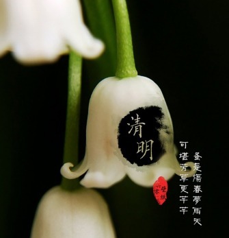 清明节的古诗有哪些尽量多点,关于描写清明节的古诗都有哪些