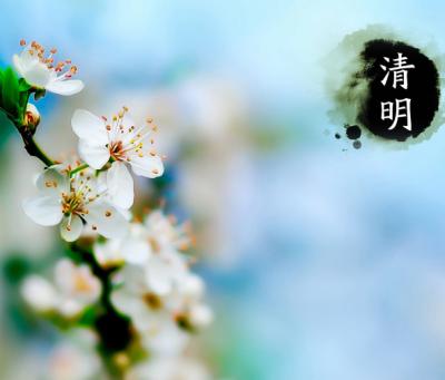 清明节的古诗有哪些尽量多点,关于描写清明节的古诗都有哪些