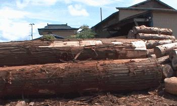 出自日本武士之手的饭盒,竟成INS美食网红摆拍神器