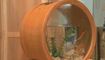 出自日本武士之手的饭盒,竟成INS美食网红摆拍神器