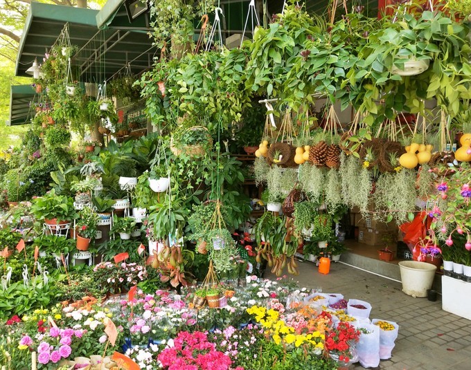 深圳东莞附近游玩景点一日游,深圳东莞游玩景点推荐周边自驾游