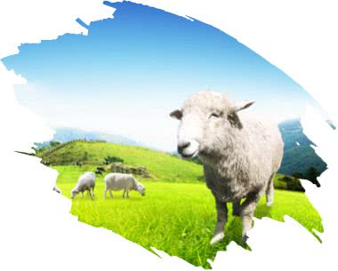 这个火遍全球的品牌要搞大动作！新一轮商业改革即将开启