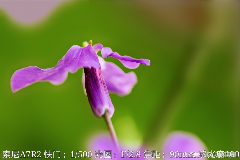 老年人学摄影装备如何选择 (中老年人摄影装备推荐)