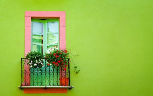 洋葱切块放柜子里可以去甲醛吗,洋葱可以去除甲醛吗需要切开吗