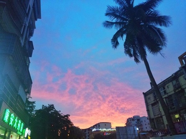 四人合伙股份平分能行吗,四人合伙个人占20%