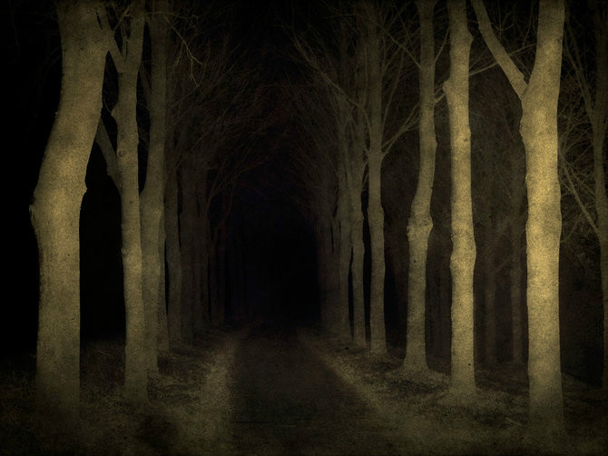 绝美林荫,绝美林荫道创意图片