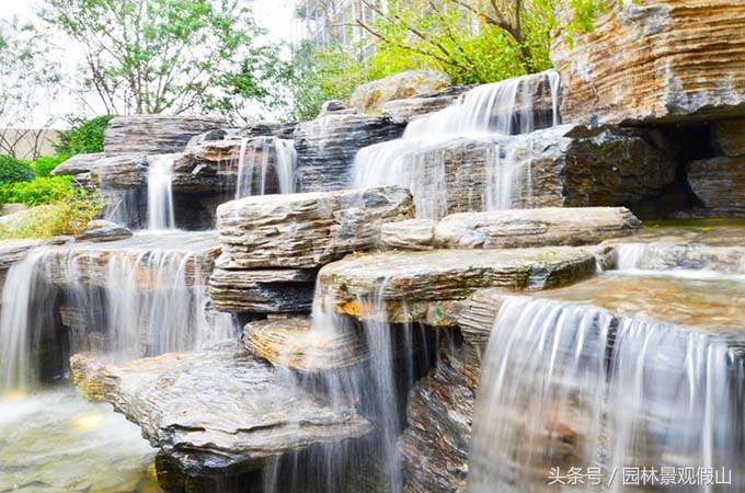 多肉滴水观音养殖方法,滴水观音盆景养殖方法