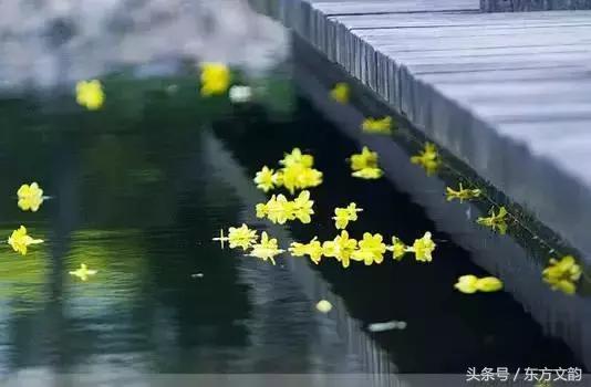 想念天堂里的家公家婆,怀念我的家公家婆