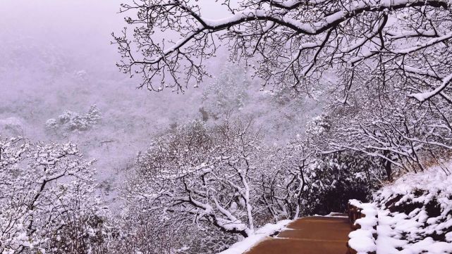 治脚气，先要肠胃调理顺，四月常吃这种能量菜，食补效果立竿见影