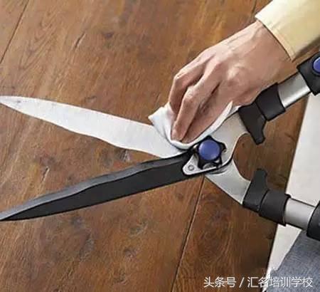 花艺基础知识认识花卉,花艺师必学