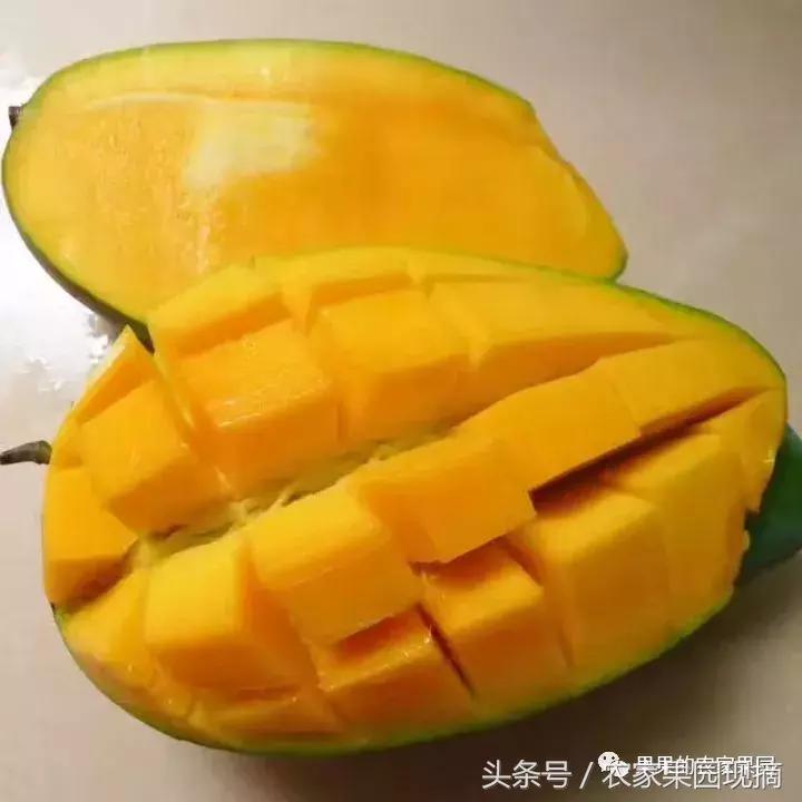 芒果品种千千万,最好吃的是哪个品种?你知道吗?