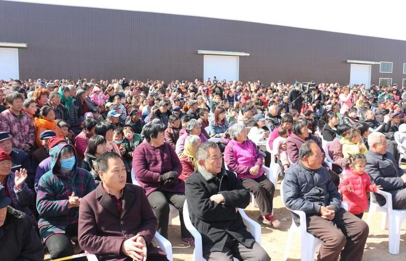 震撼千亩海棠绽芬芳,千亩海棠竞相开放