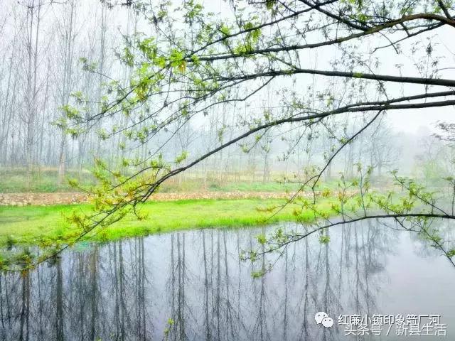 革命之火处处燃起是哪个电影台词,鄂豫皖革命