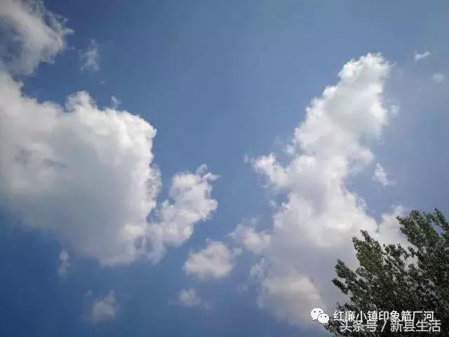 革命之火处处燃起是哪个电影台词,鄂豫皖革命