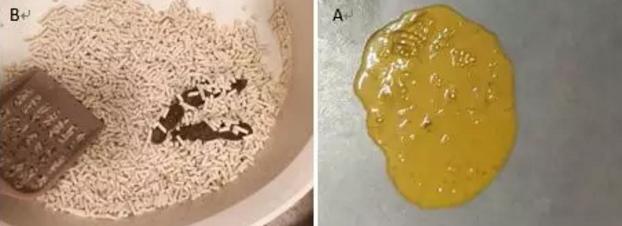 狗狗拉稀怎么办最快的解决方法,狗狗又拉稀又拉虫子怎么办