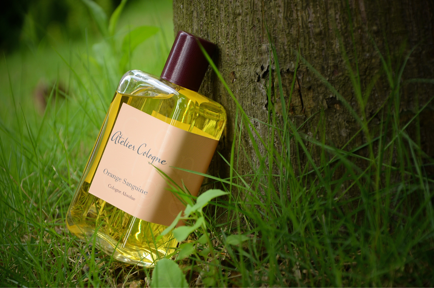 国产小众木质香水推荐,另类小众香水推荐