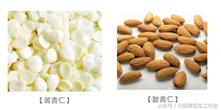 甜杏仁与苦杏仁药性区别,苦杏仁与甜杏仁的药性区别