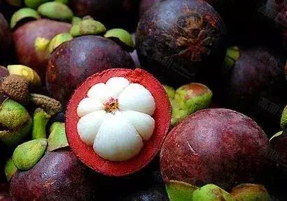 泰国山竹风暴来袭,四月泰国山竹