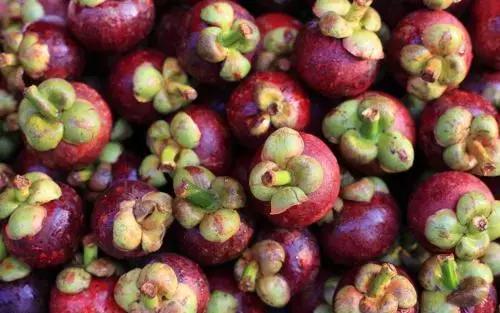 泰国山竹风暴来袭,四月泰国山竹