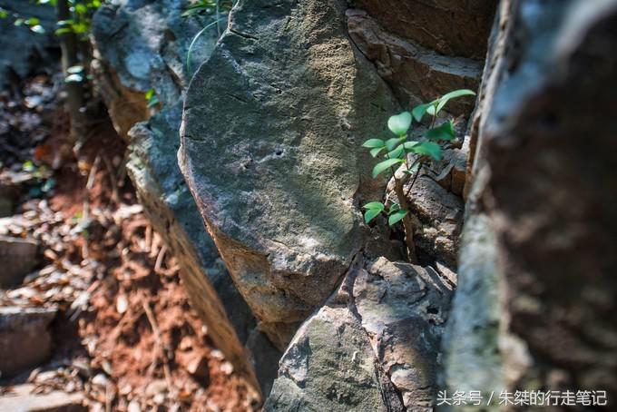 九十里山水画廊，从万亩桃花开始（淮南-六安自驾三日旅游攻略）