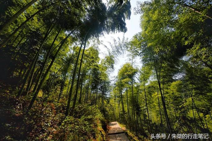 九十里山水画廊，从万亩桃花开始（淮南-六安自驾三日旅游攻略）