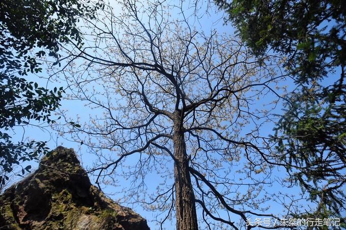 九十里山水画廊，从万亩桃花开始（淮南-六安自驾三日旅游攻略）