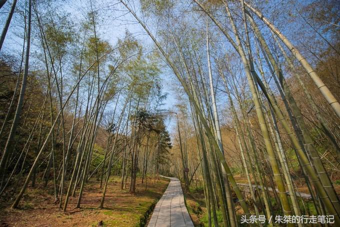 九十里山水画廊，从万亩桃花开始（淮南-六安自驾三日旅游攻略）