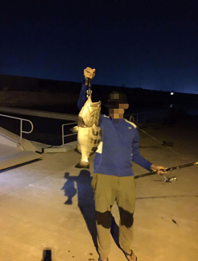 钓鱼钓到一万斤的大石斑,海口港口钓石斑